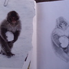 Snow Monkey